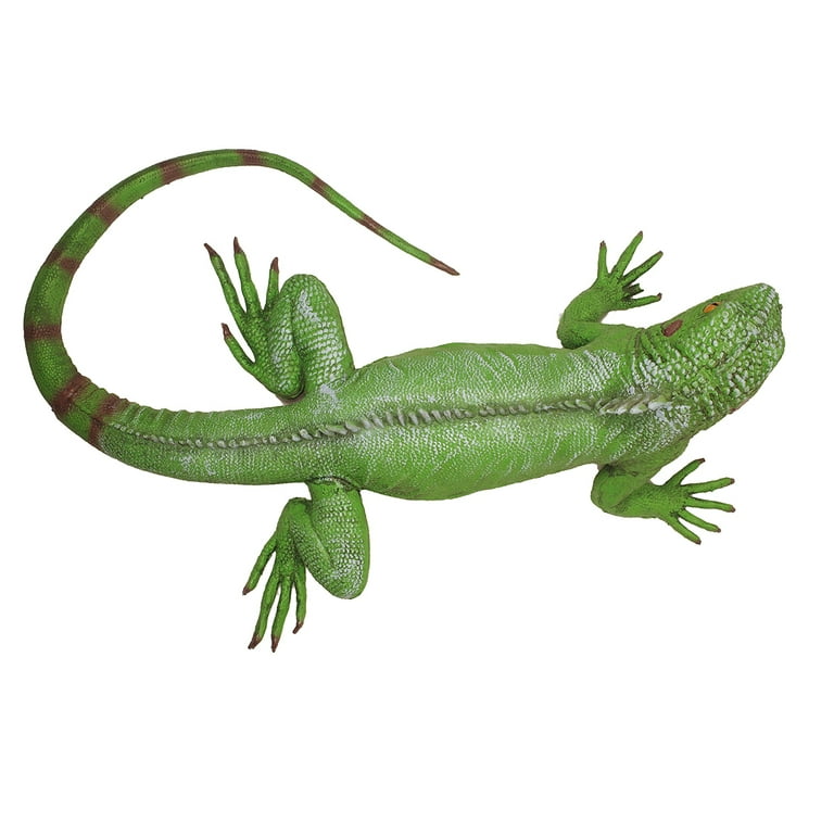 Giant Green Iguana Life Size Reptile Rubber Lizard Bearded Dragon Birthday Decor Giant Green Iguana Life Size Reptile Rubber Lizard Bearded Dragon Birthday Decor
