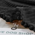 thumbnail image 2 of DISSA Flannel Fleece Blankets with Pompom Fringe Lightweight Soft Throw Blanket Fit Sofa Bed(Black,51x63"), 2 of 9