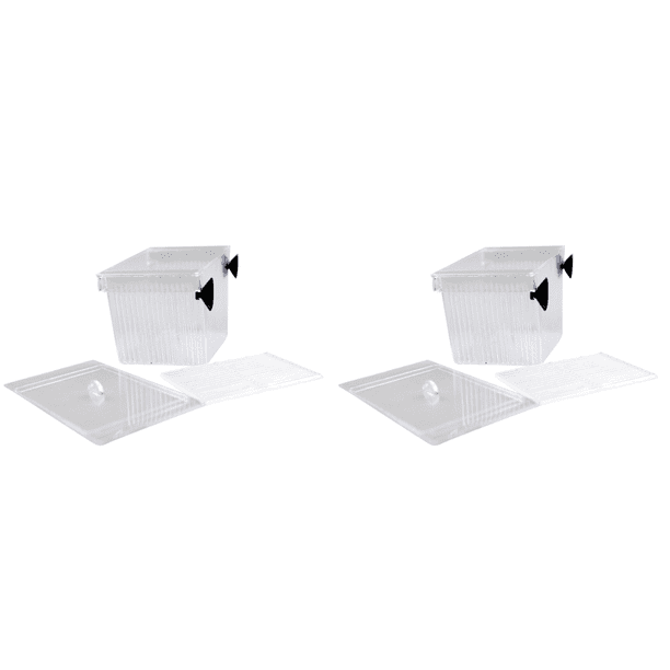 Caja Transparente para Criadero Rium Aislamiento Pecera Incubadora Aqua