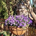 thumbnail image 2 of Hang Baskets Plants Planter Balcony Pot Holders Haning Vases 10in For Porch Patio Deck Decorations Garden supplies, 2 of 6