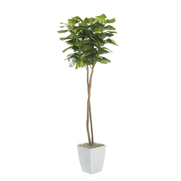 D&W Silks 6' Fiddle Leaf Fig Tree in White Square Metal Planter