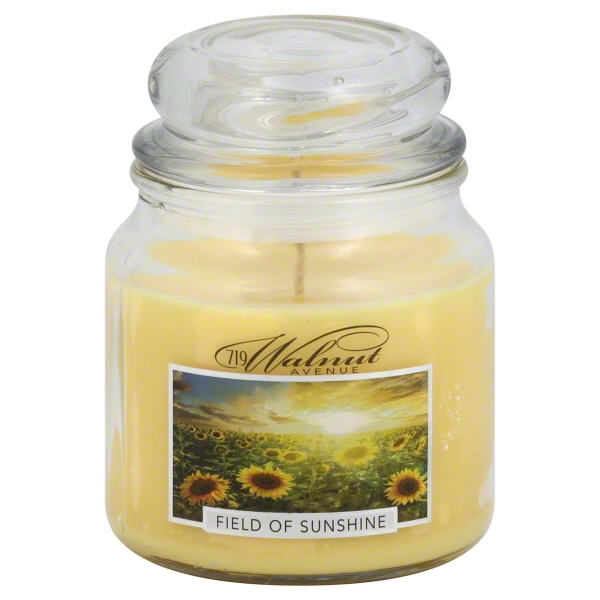 719 Walnut Avenue Field of Sunshine Candle, 14 oz