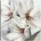 thumbnail image 1 of Cuadro Decorativo - Silencio de verano II Jr Impresión en canvas, estrechado, 1 of 2