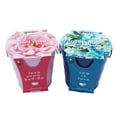 thumbnail image 5 of Buzzy Seeds 2pk Mini Rose & Forget-Me-Not Grow Kit, Indoor Flower Garden Kit, 5 of 5