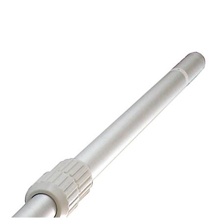 pool cleaning pole
