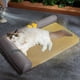 thumbnail image 4 of Cama refrescante de 40 x 50 cm para gatos de interior con almohada de cuero. Cama refrescante para verano, hecha con telas de lujo, mantiene fresco a gatitos y gatos pequeños. Cama universal para, 4 of 8