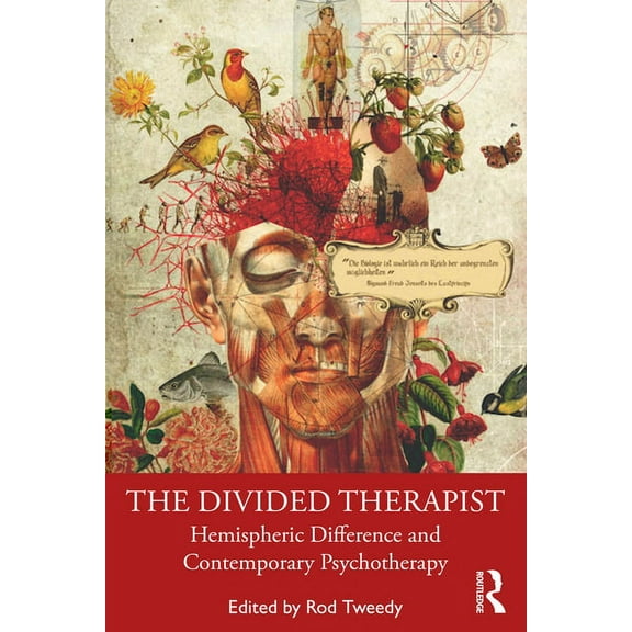 The Divided Therapist: Hemispheric Difference and Contemporary Psychotherapy, (Paperback)