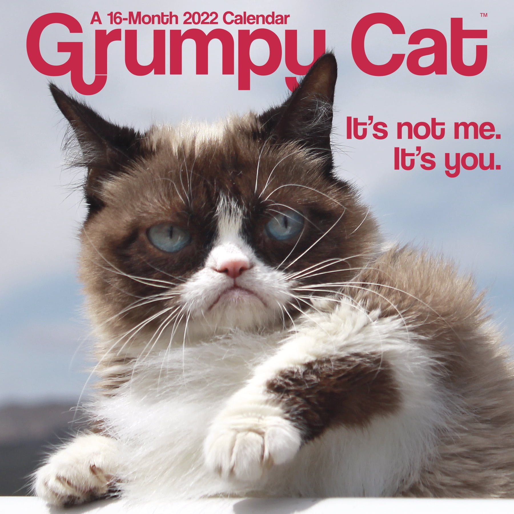 Trends International 2022 Grumpy Cat Mini Wall Calendar