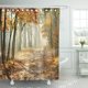 thumbnail image 1 of ABPHQTO Marrón Hermosa mañana en el bosque otoñal brumoso Sol Cortina de ducha de poliéster 152x180 cm, 1 of 2
