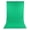 Green, variant on CEORPER Backdrop Background for Photography Photo Booth Backdrop for Photoshoot 5x10FT
