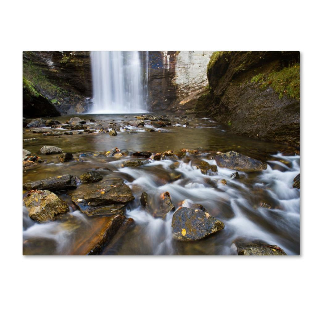 Trademark Fine Art "Looking Glass Falls" Canvas Art by Pierre Leclerc