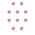 thumbnail image 1 of Ounissouiy Ramillete clásico Belleza atemporal para celebraciones de bodas Broches Ocasiones formales champán rosa champán rosado 10Conjunto, 1 of 6