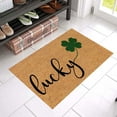 thumbnail image 6 of Irish Day Floor Mats Holiday Mats Welcome Door Mats Polyester Door Mats, 6 of 8