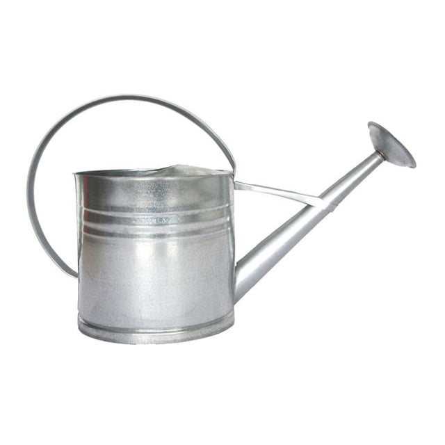 Esschert Design OZ76 Arrosoir en Zinc, Grand