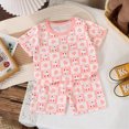 thumbnail image 2 of UAYOTSE Toddler Baby Girl Clothes Patchwork Waffle Sweatshirt Pullover Shirt Top Pants Girl Spring Summer Outfit Warm Summer,Sizes 2-3 Years, 2 of 4