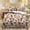 Beige Camo, variant on Pzuqiu Duck Camo 3 Piece Duvet Cover Set Soft Bed Set for Bedroom Decor Duck Hunting Bedding Set for Kids Teens Adults,Camouflage Bed Set with 2 Pillow Shams Lightweight Twin Size