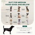 thumbnail image 6 of Noaman PawHut Dog Couch Fancy Pet Bed for Small & Medium Dogs Cats, 31.1" W x 22" D x 13.8" H, Soft Removable Washable Cushion, Dark Green Modern Dog Sofa, 6 of 10