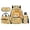 Cute Lion Reading, variant on Yspwyqan Backpack Set with Lunch Box Pencil Case Girls, 17 Inch 600D Polyester Lightweight Bookbags Large Capacity Musical Rainbow Cat Bag for School Elementary Middle