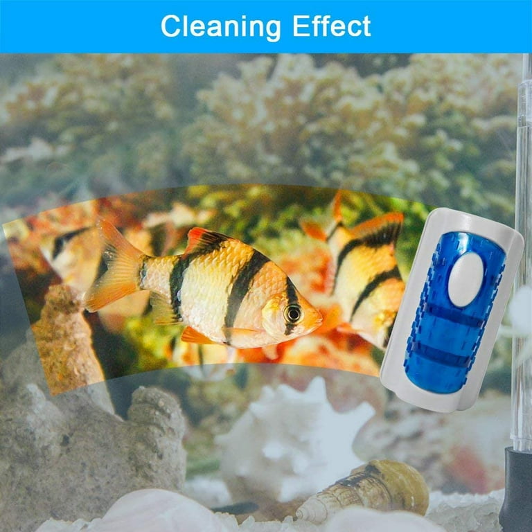 Glass hot sale cleaner fish