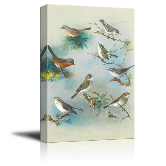 wall26 - Beautiful Drawing of Various Birds Perched on Branches - Canvas Art Home Art - 16x24 inches