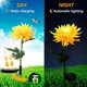 thumbnail image 4 of Luces solares de estaca para jardín al aire libre, paquete de 3 luces solares de flores de crisantemo, luces decorativas solares LED impermeables para pasarela de jardín, 4 of 5
