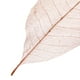 thumbnail image 5 of Hoja de de Magnolia 100 Piezas Hojas de Libro de Recuerdos -, 5 of 9