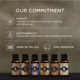 thumbnail image 3 of Aceite aromático Eternal Essence Oils Guayaba Colada 30 ml Premium, 3 of 4