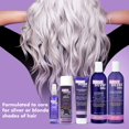 thumbnail image 2 of One 'n Only Shiny Silver Ultra Color-Enhancing Conditioner, Restores Shiny Brightness to White, Grey, Bleached, Frosted, or Blonde-Tinted Hair, Protects Hair Color - 12 Fl. Oz, 2 of 7