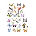 thumbnail image 1 of Etiqueta Decorativa 60 uds. Adhesivo decorativo, adhesivos de papelería creativos para álbumes de fotos (estilo C) Likrtyny Libre de BPA, 1 of 9