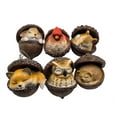 thumbnail image 5 of 2Pc-Hedgehog+Red Bird 3D Forest Animal Acorn Ornaments – Sleeping Cozy Forest Christmas Ornaments, Handcrafted Resin Hazelnut Ornaments, Forest Animal Christmas Ornaments, 5 of 5