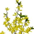 thumbnail image 5 of Mainstays Indoor Artificial Flower, Forsythia Stem, Yellow Color, Assembled Height 50"., 5 of 8