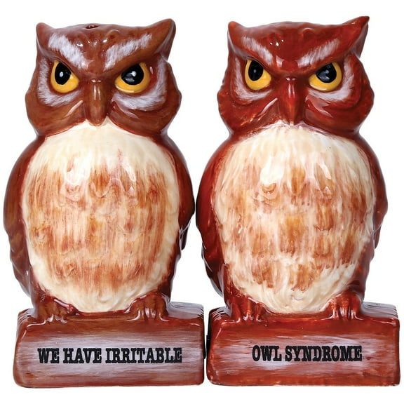 Pacific Giftware Irritable Owls Syndrome Ceramic Magnetic Salt and Pepper Shaker Set