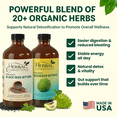 thumbnail image 6 of Herbal Connections Soursop & Black Seed Bitters Bundle - Organic Wellness Supplement, 2 x 16 oz, 6 of 6