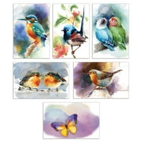 Better Office Cards with Envelopes 4" x 6" Birds & Butterflies 50/Pack (64564-50PK)