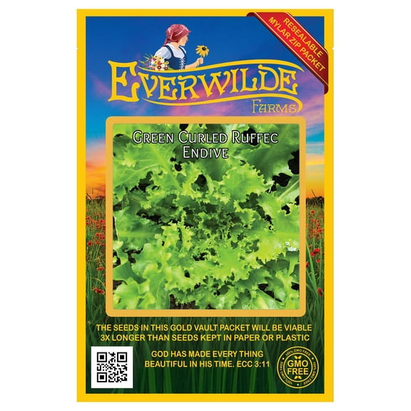 Everwilde Farms - 2000 Green Curled Ruffec Endive Seeds - Gold Vault Jumbo Bulk Seed Packet