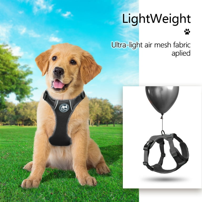 Dog Harness Puppia RiteFit Mesh Over-The-Head All Season No Pull