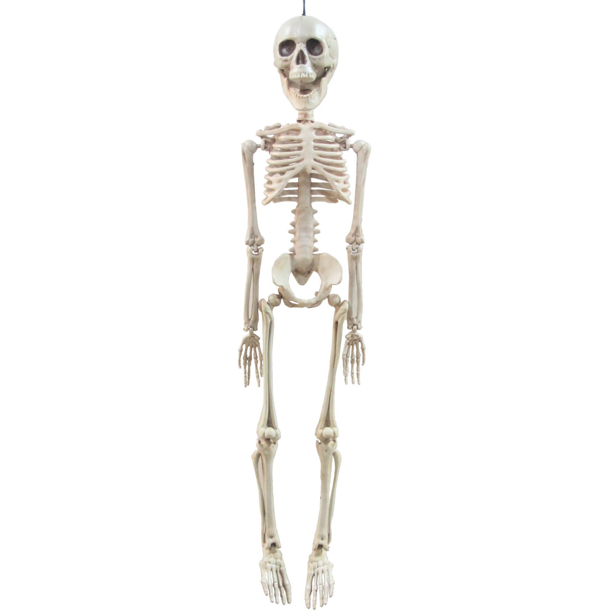 20 inch Realistic Skeleton Halloween Decoration - Walmart.com