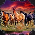 thumbnail image 3 of CafePress - Sunset Horses Hoodie (Dark) - Pullover Hoodie, Classic, Comfortable Hooded Sweatshirt, 3 of 5