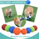 thumbnail image 5 of Vitalili 4 pelotas de goma para perros, pelotas de juguete, pelota de agua, juguete de alto rebote, pelota de entrenamiento para perros, resistente a la masticación, juegos de pelotas para perros medi, 5 of 5