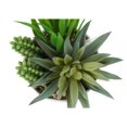 thumbnail image 5 of Monarch Succulent - Artificial plant set - 2 pieces - white pot, green, 5 of 5