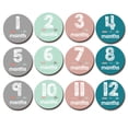thumbnail image 1 of De Pegatinas De Meses Para Bebés, Etiquetas De Hitos Mensuales Para Bebés, Pegatinas De Tarjeta Conmemorativas Para Niños Recién Nacidos A Prueba De Agua, Calcomanías Diy12 Piezas 2 Piezas Cateissary FN002342-00, 1 of 6