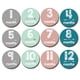 thumbnail image 1 of De Pegatinas De Meses Para Bebés, Etiquetas De Hitos Mensuales Para Bebés, Pegatinas De Tarjeta Conmemorativas Para Niños Recién Nacidos A Prueba De Agua, Calcomanías Diy12 Piezas 2 Piezas Serendint FN002342-00, 1 of 6