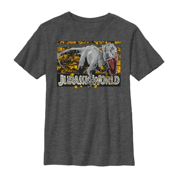 Boy's Jurassic World Rock Grid Dinosaur Graphic Tee Charcoal Heather Medium