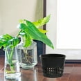 thumbnail image 2 of Miangastore 30Set Hydroponic System Planting Container Plastic for Garden Equipment, 2 of 8