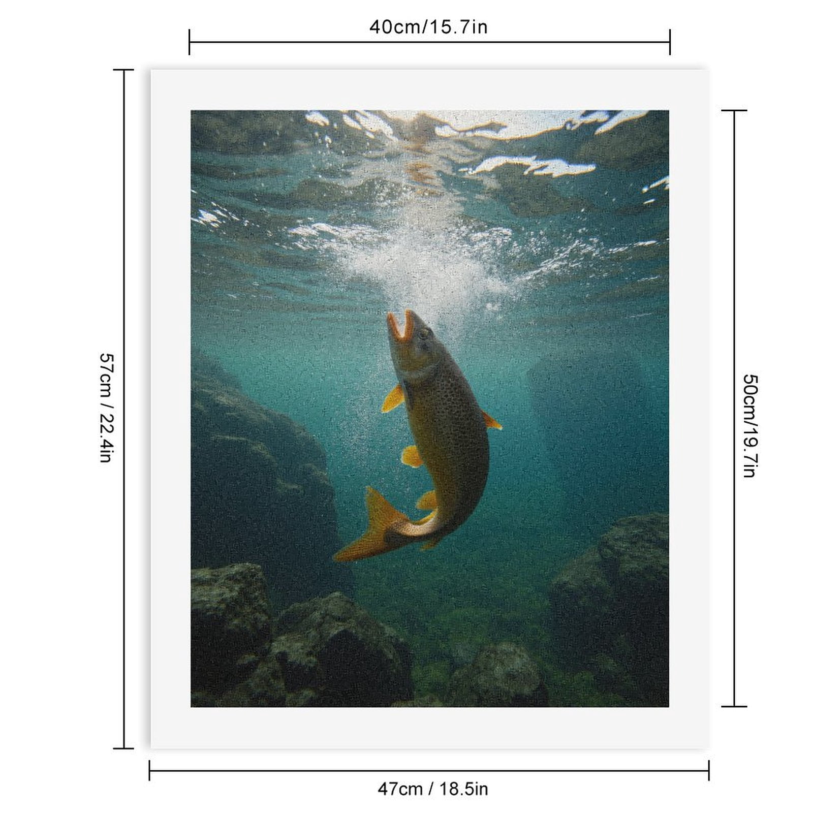 Paint By Numbers Kit for Adults Beginner - DIY Fish Underwater Bubbles Rocks Canvas Painting Kits for Adults, Frameless Paint By Number for Adults for Home Wall Decor 16x20 Inch