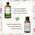 thumbnail image 6 of PHATOIL Watermelon Essential Oils 100% Pure Natural Perfect for Aromatherapy, Diffuser, Yoga, Skin Care, DIY Candle and Soap Making - 100ML (3.38fl.oz), 6 of 7
