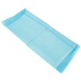 thumbnail image 4 of 4 Taille PVC Super Absorbant Désodorisation Chiot Chien Couche Jetable Entraînement Pee Pads(S), 4 of 9