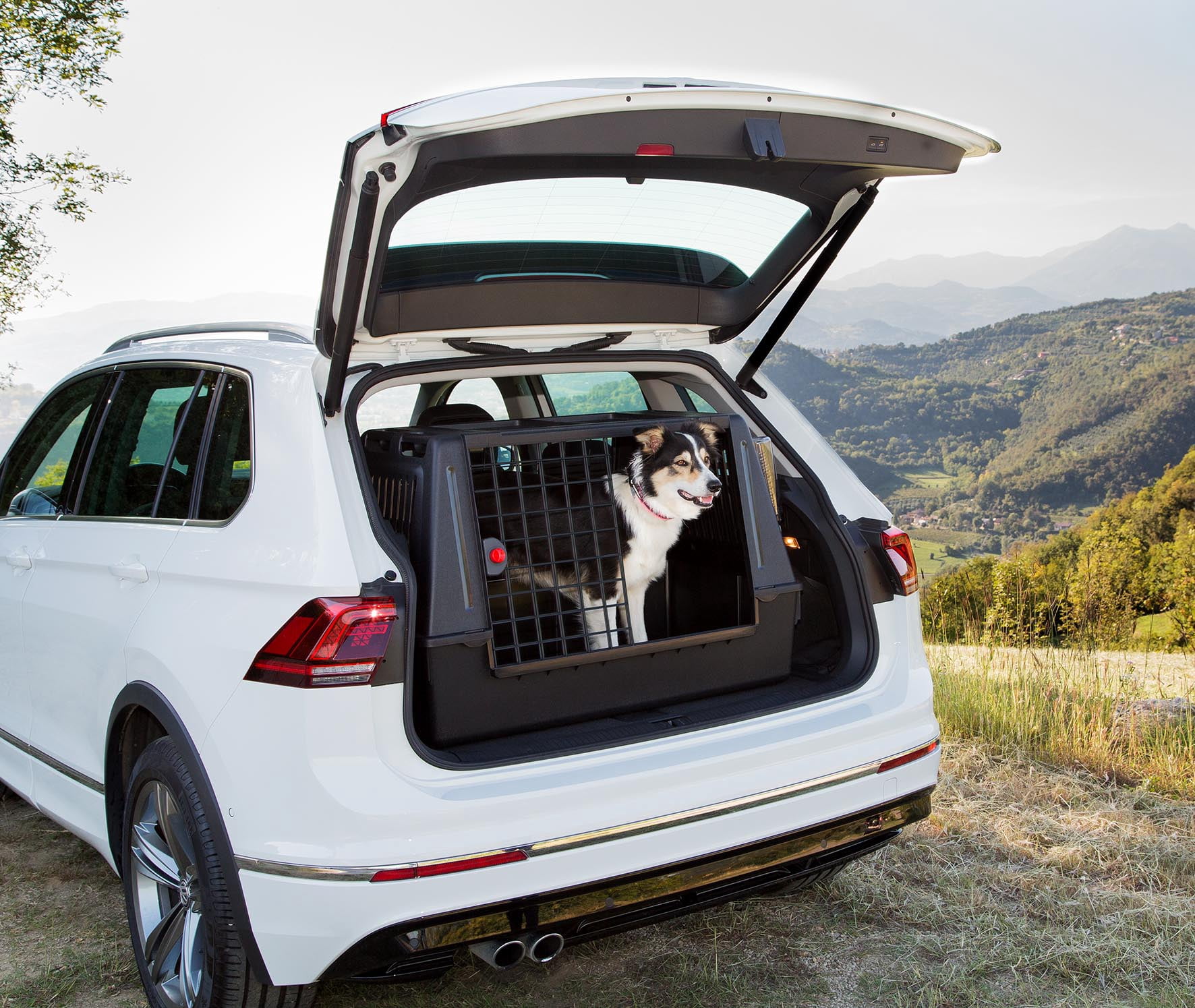 Ferplast Atlas Scenic Pet Kennel, Medium Dog, for SUV & Hatchback, Black