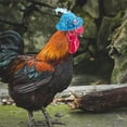 thumbnail image 5 of Paquete de 3 sombreros de pollo con correa elástica ajustable para la barbilla, sombrero para gallinas, sombrero pequeño para mascotas, 5 of 5