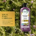 thumbnail image 3 of Acondicionador Herbal Essences Bio:Renew Rosemary & Herbs 400 ml, 3 of 5
